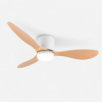 Ventilateur de plafond silencieux