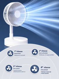 Ventilateur portable F12