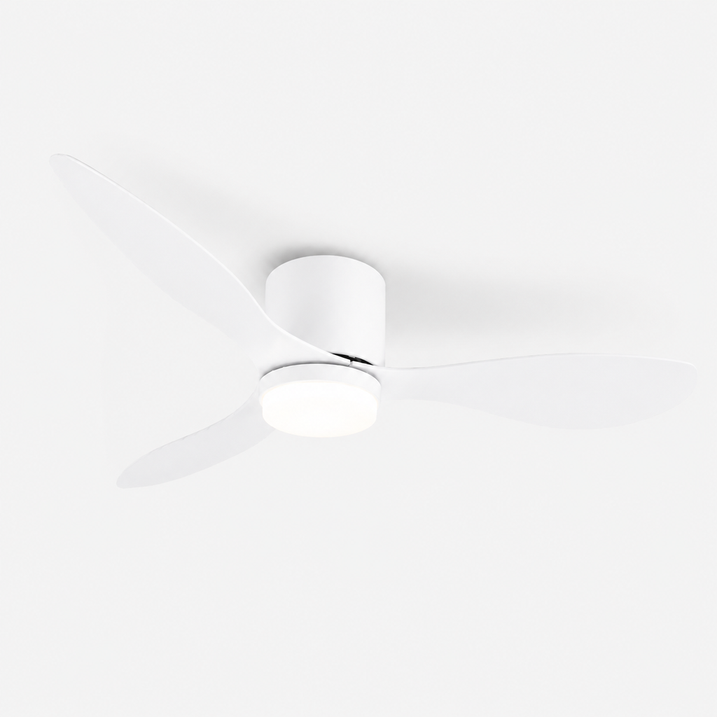 Ventilateur de plafond silencieux