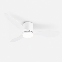 Ventilateur de plafond silencieux