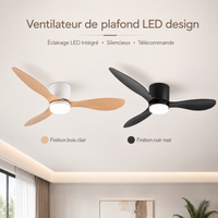 Ventilateur de plafond silencieux