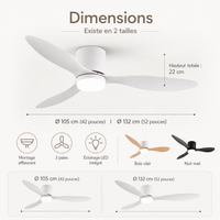 Ventilateur de plafond silencieux
