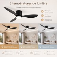 Ventilateur de plafond silencieux
