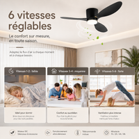 Ventilateur de plafond silencieux