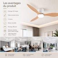 Ventilateur de plafond silencieux